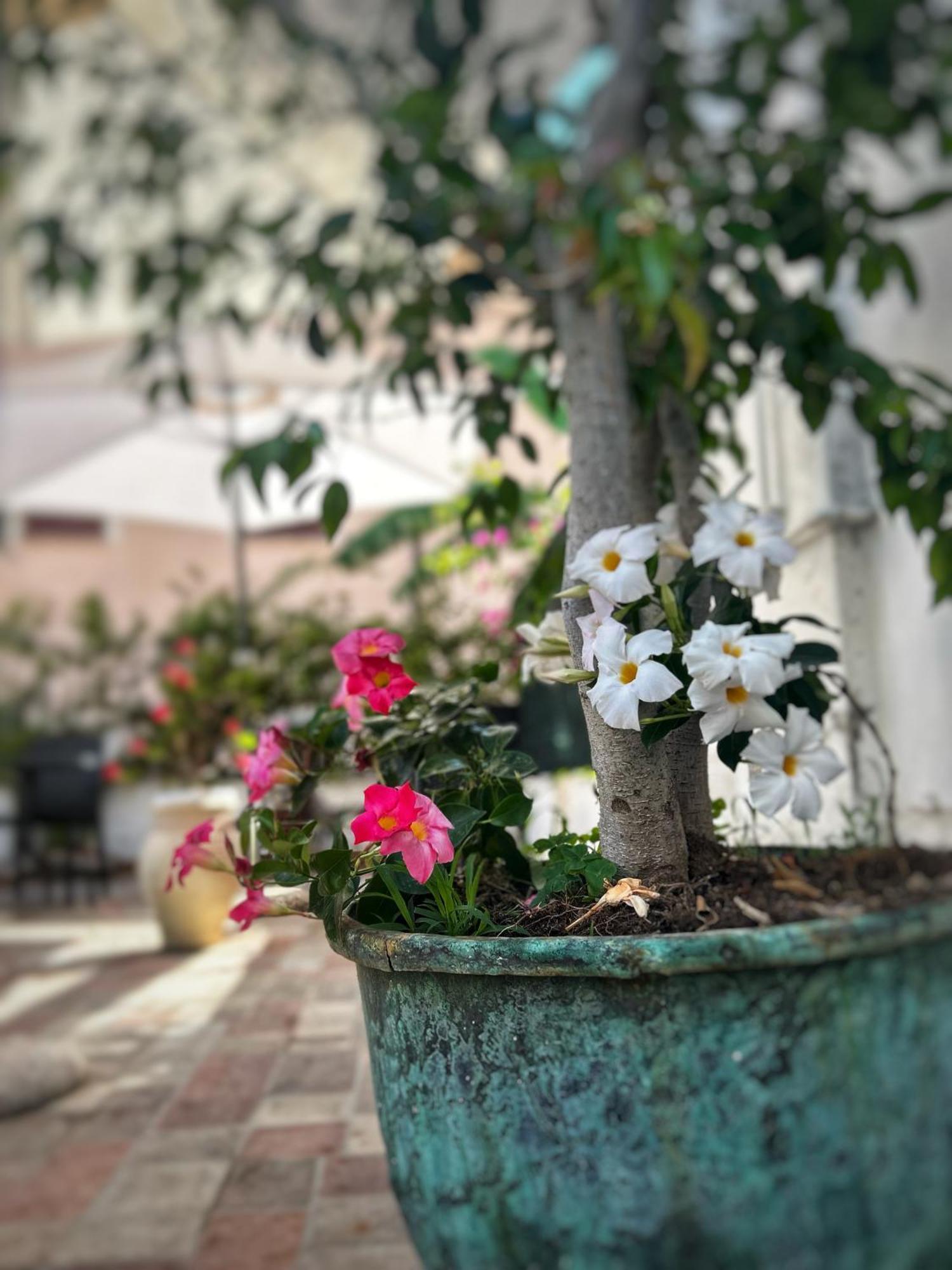 La Maison Derriere Tropea Kültér fotó